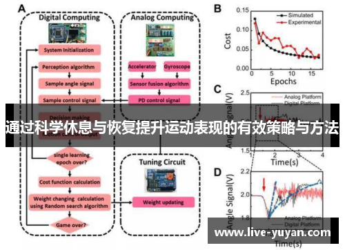 通过科学休息与恢复提升运动表现的有效策略与方法